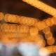 Illustration for article titled Shooting Challenge: Bokeh, Gallery 3
